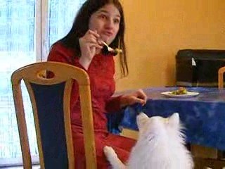 Bibou en plein délire avec  le trio