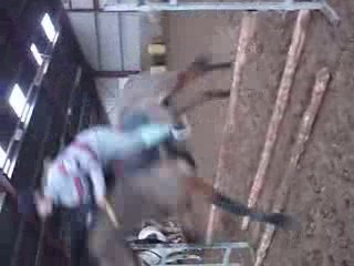 Manon et orchidée mini vidéo (40 cm)