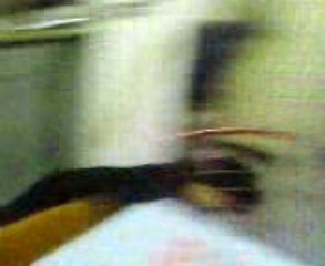 Louna batard et venus cane corso