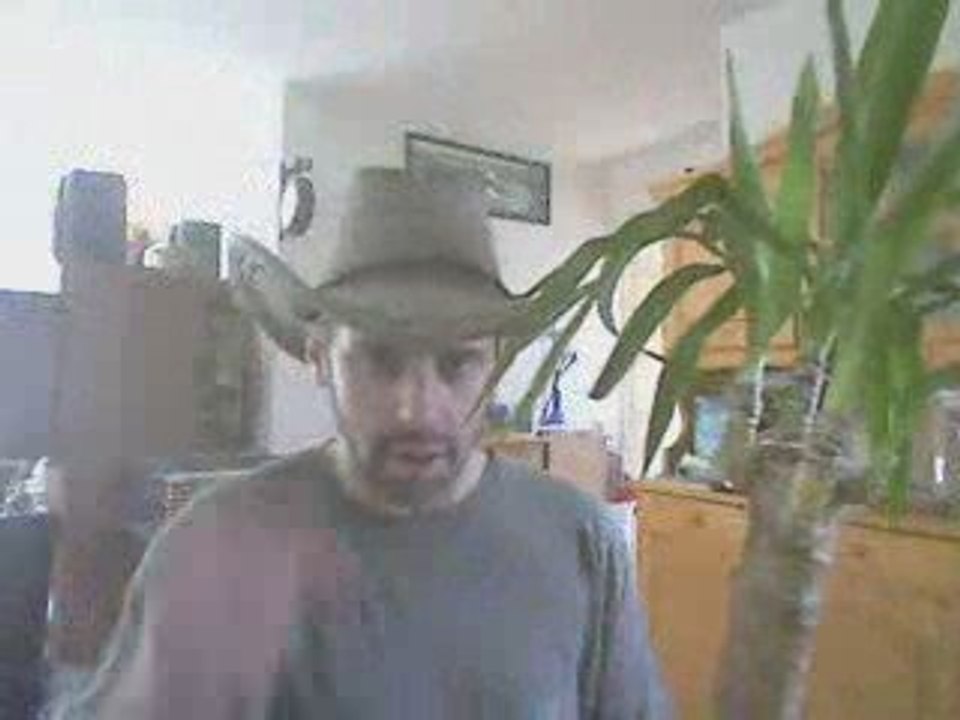 Jerome P - Tony cartonne