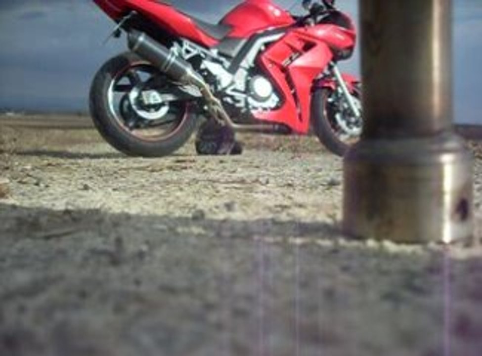 Suzuki svs 650 pot fresco carbone