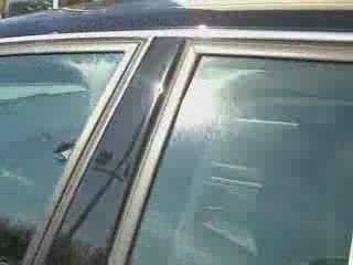 Birds Chirping Spring is here Audi steve white Greenville...