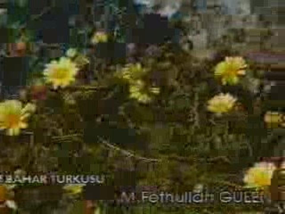 Fethullah Gülen - Bahar Türküsü