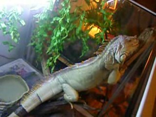 yalah qui va ce coucher !