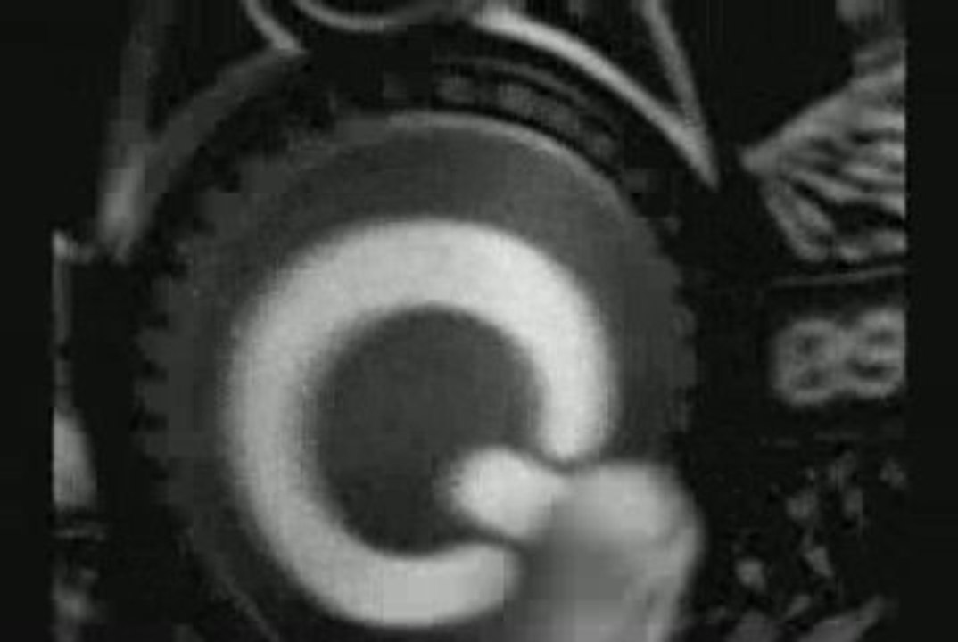 Yanis feat Darek - Spectroteck - Eledance