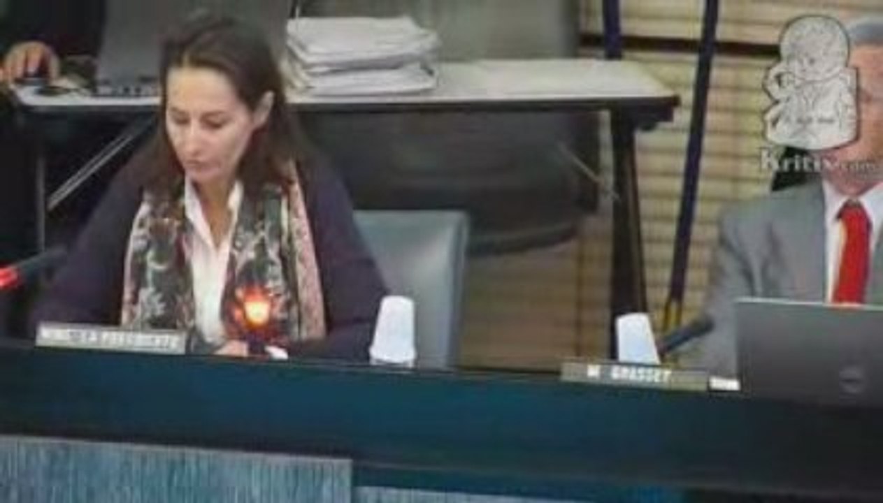 Région : l'offensive photovoltaïque de Ségolène Royal