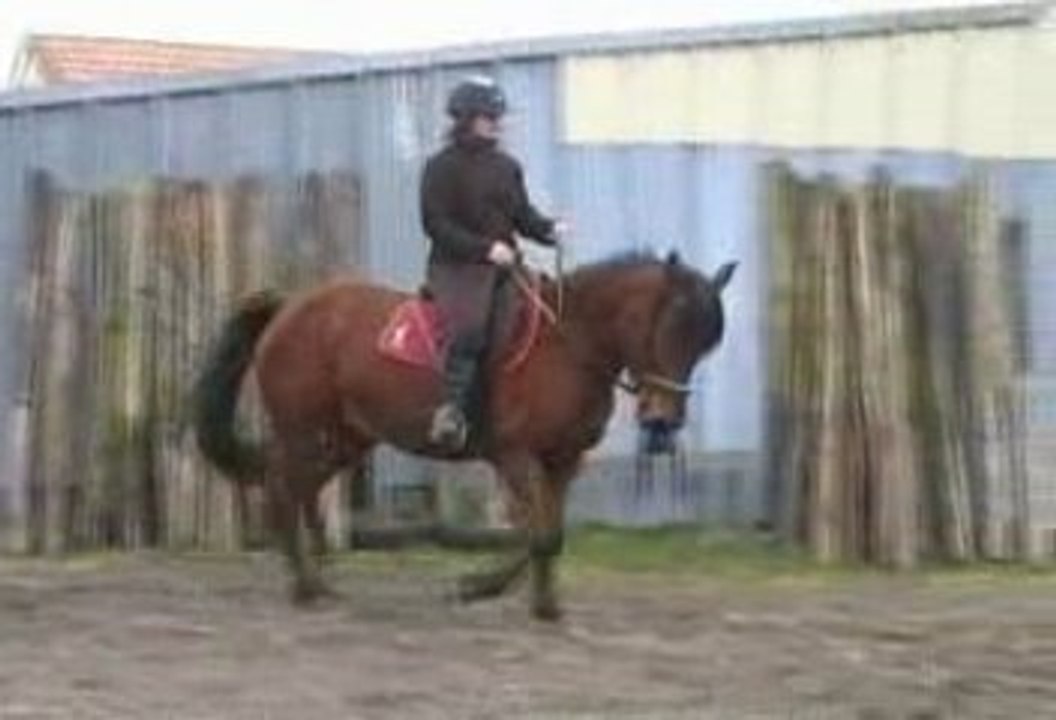 nina des dunes