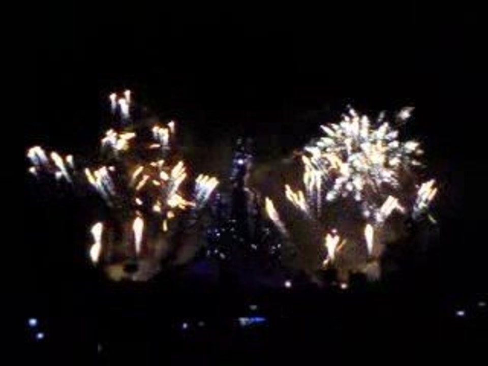 Feu de la St-David 2009