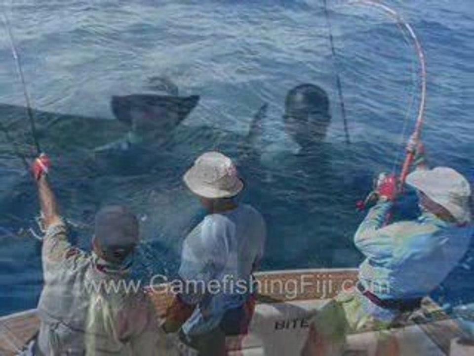 Angler's Pro Shop GT Expedition to Fiji Feb 2009