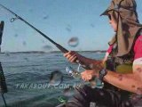Catching sharks from a Hobie Adventure kayak