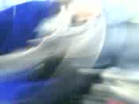 Les catcheurs de Jules Verne II