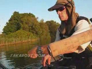 Breaming from the kayak, Clarence river