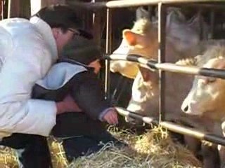 Gabriel 17 mois avec les vaches et tata nanou