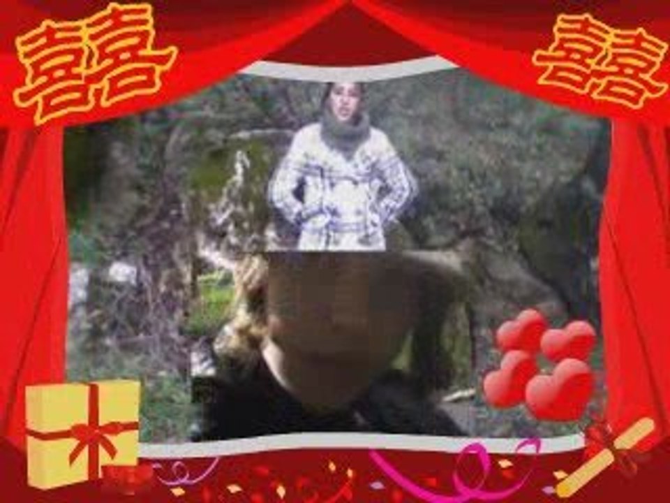 amitier