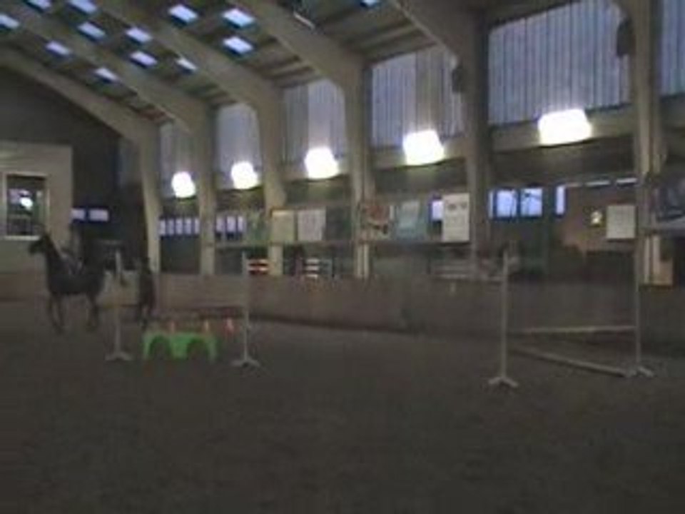 Diego cheval 003