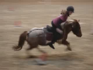 Concours au CHA, Nuts et moi, au 5 drapeaux