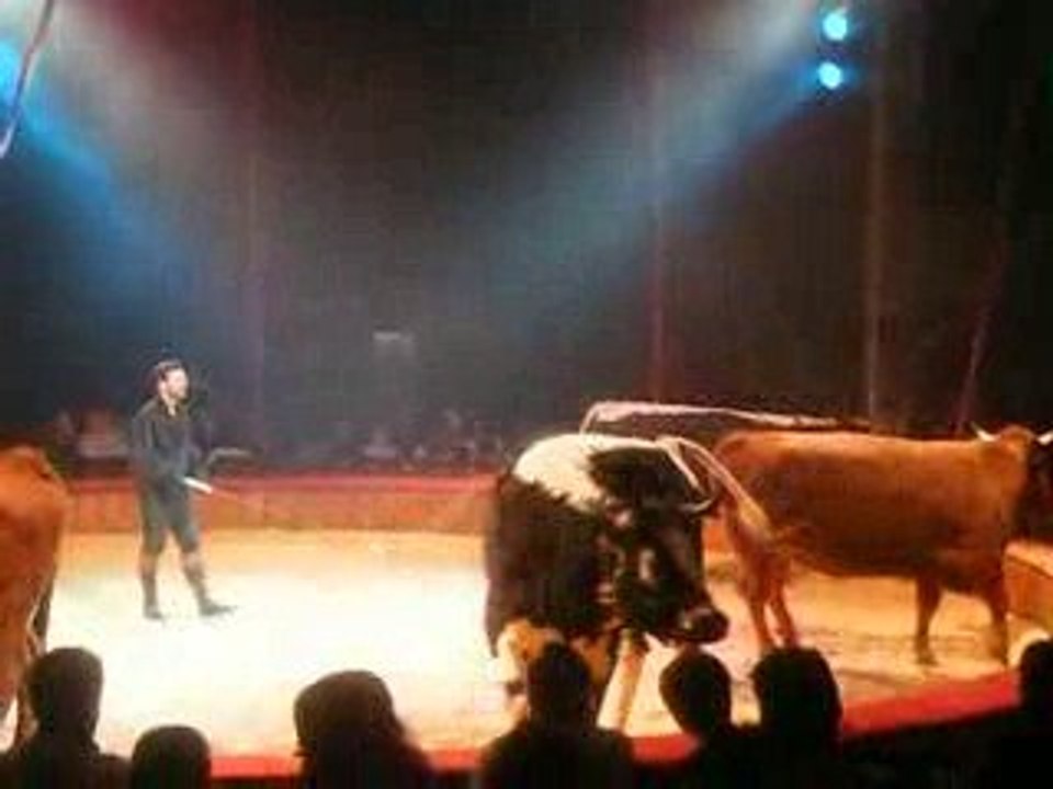 cirque2