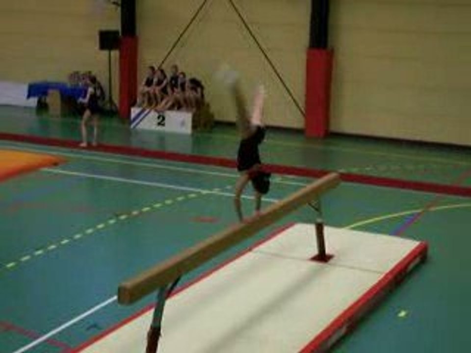 gym poutre