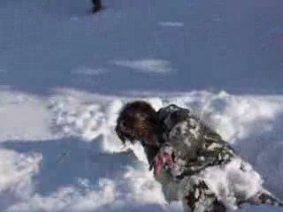 Saut neige en mars a bernex 74