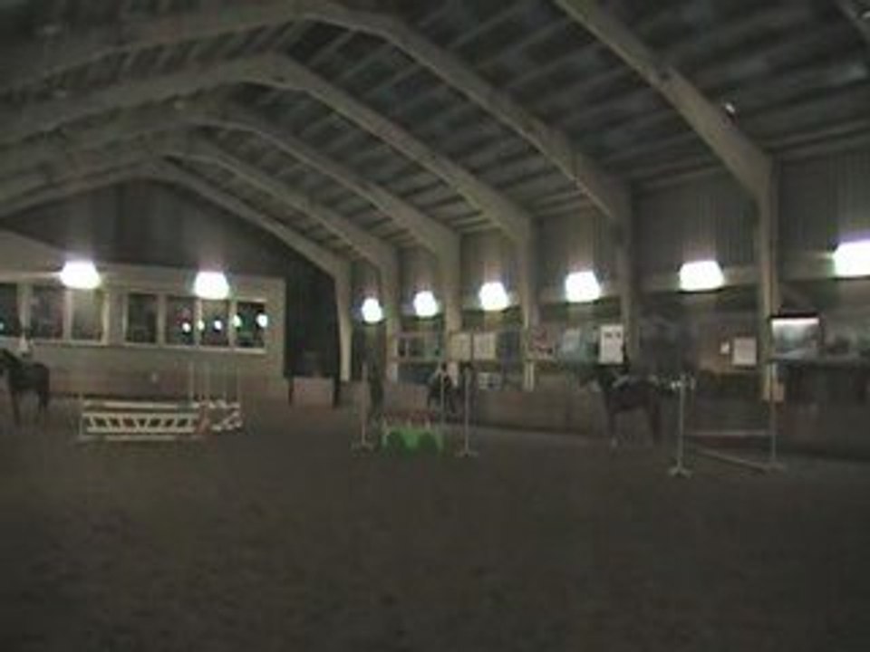 Diego cheval 010