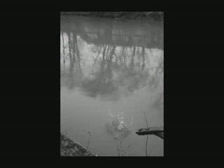 Les mortes Romantiques