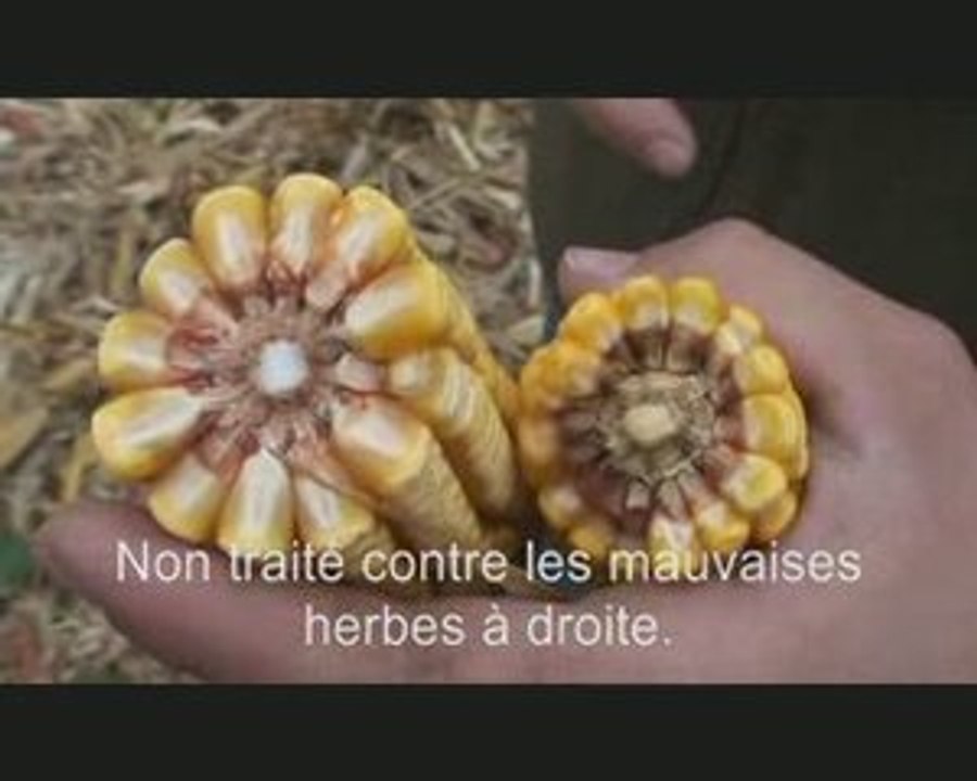 AnnexevidéoTPEpesticides