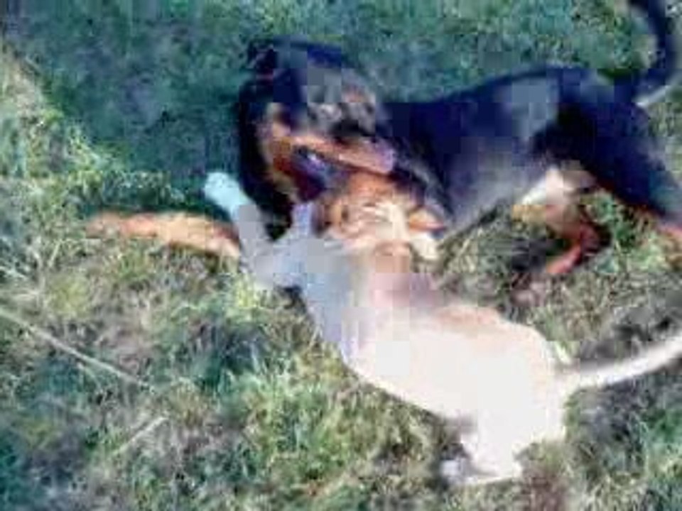 Petit souvenir avec ma copine Ditta!!!!