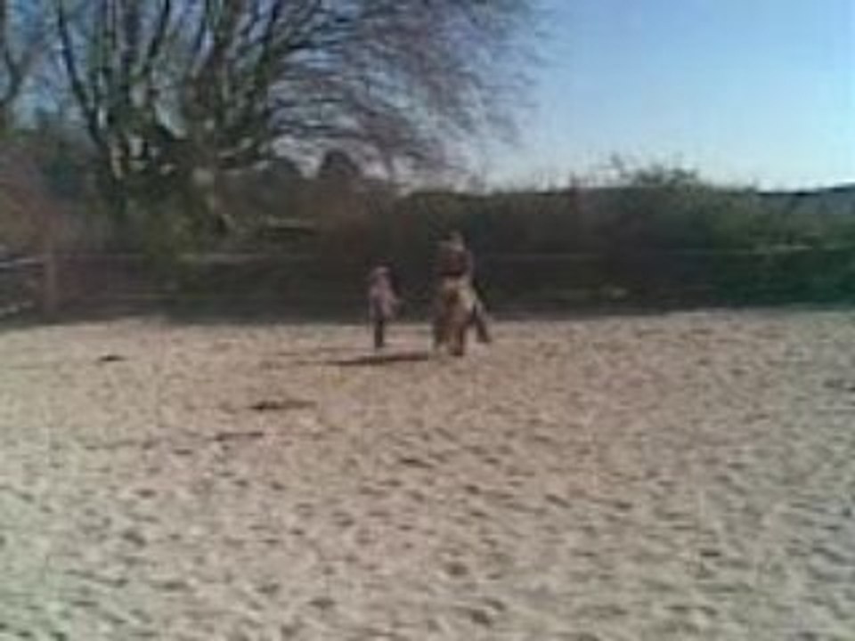 Nat a poney