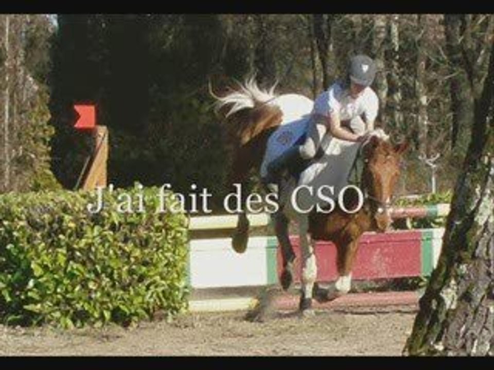 Moi et Les Chevaux !