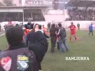 Macta hakem kavgasi www.sanliurfa.com