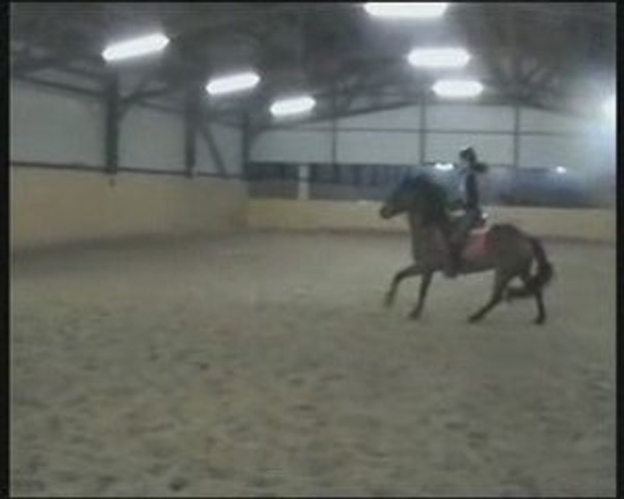 Sauut_0001