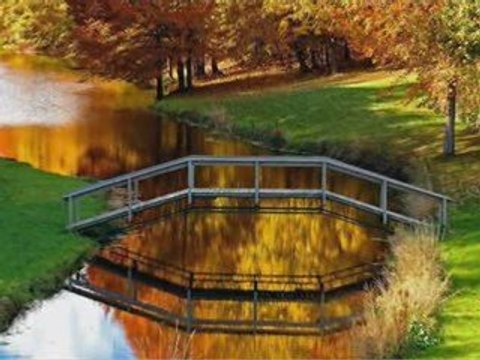 Naturaleza viva...(Ernesto Cortazar)