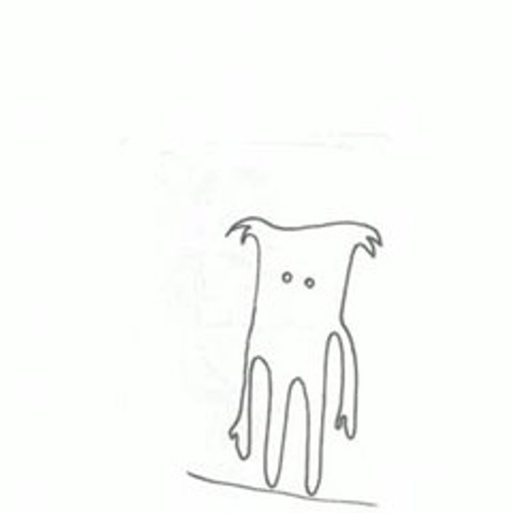 ANIM