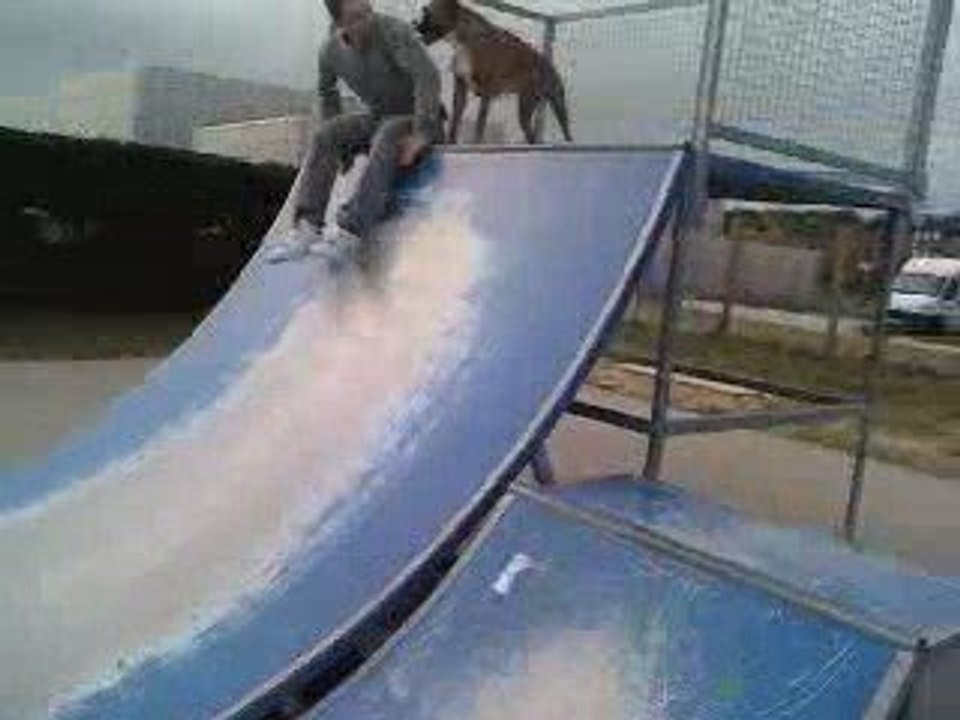boxer skateur