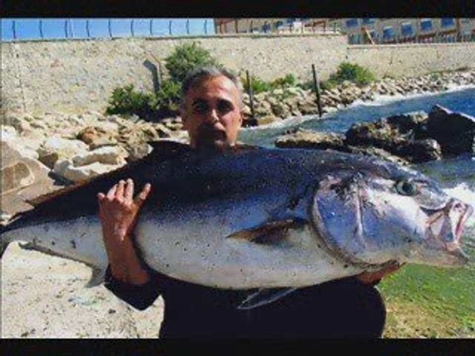 BIZERTE PECHE 2