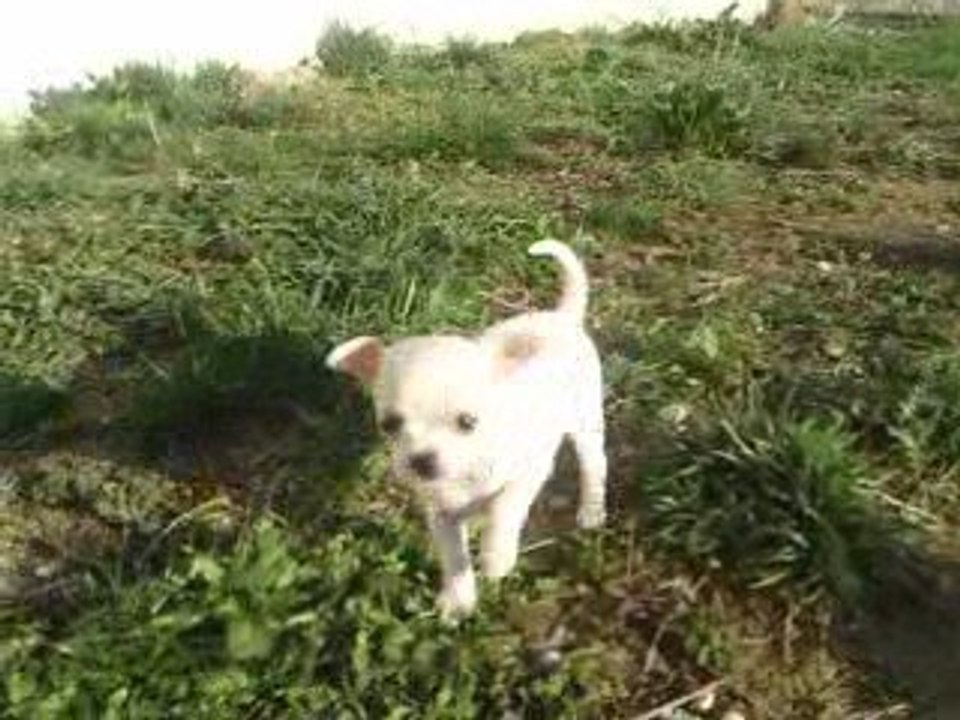Ethan à la découverte du jardin