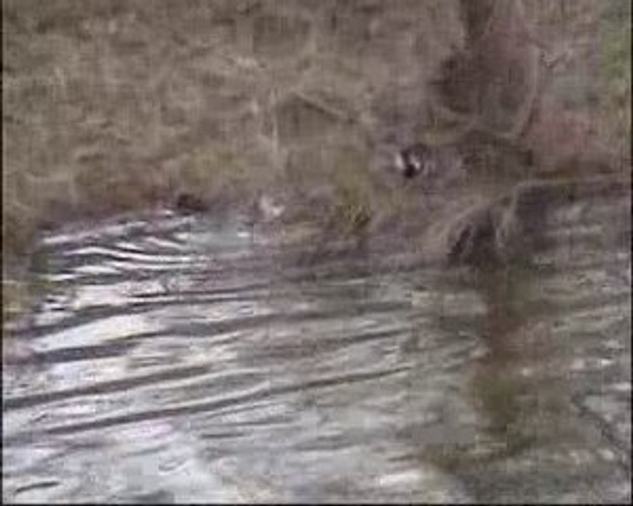 PROTEGER NOTRE PLANETE CAR SES DIEU NOUS NOUS A MIS LA