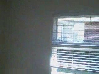 Alabama Investment Real Estate at 152 Fern Street