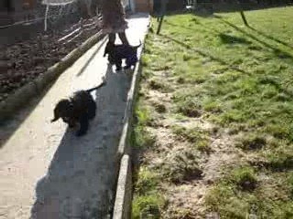 le jardin partie 2