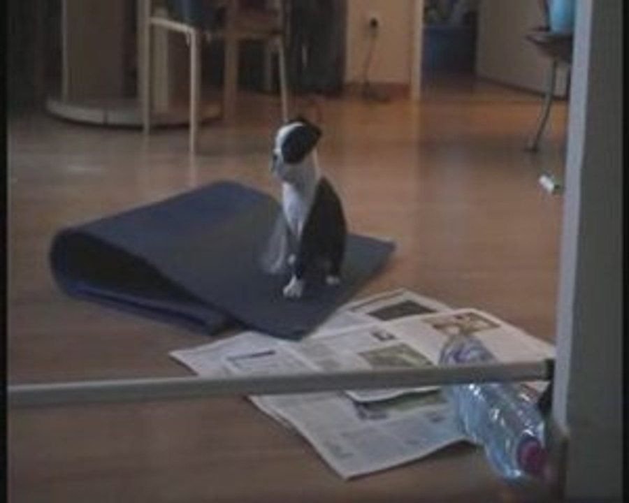 Premiers sauts d'une future championne