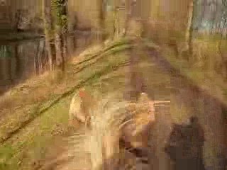 Pilou trot retour autre canal