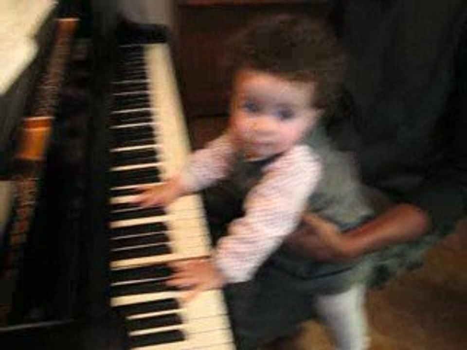 wolfgang amadeus louloute