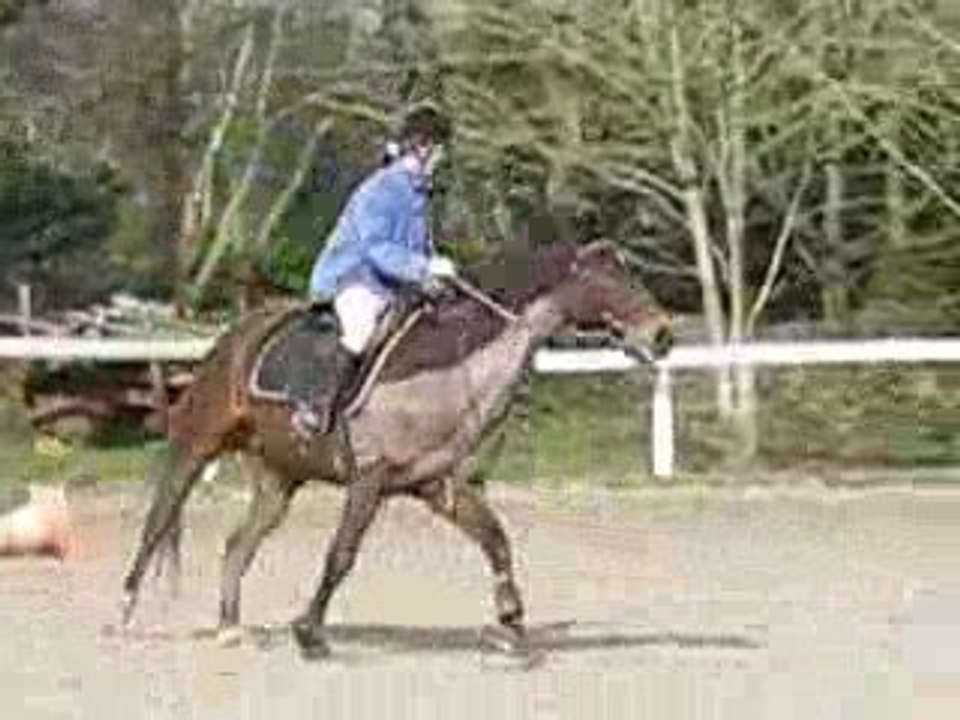 Ucpa 7 mars 2009 014