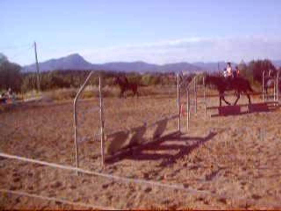 video obs martha