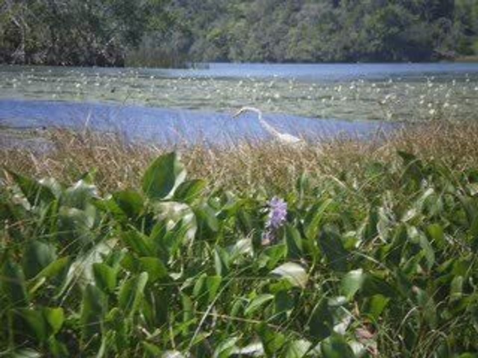 Guatemala 2008