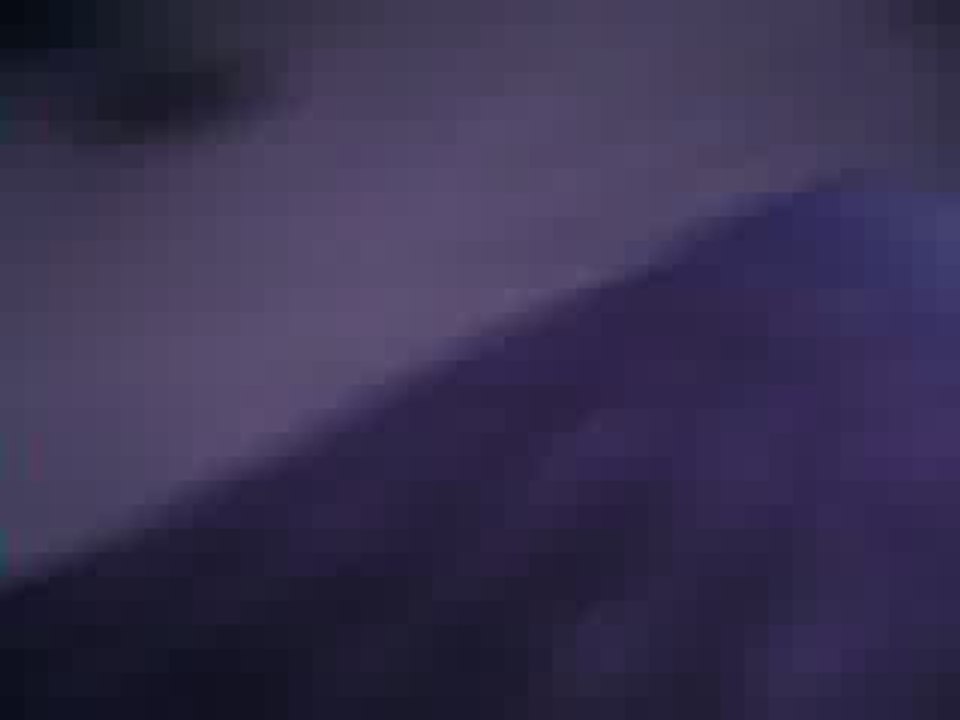 Kalin genocida na tutun
