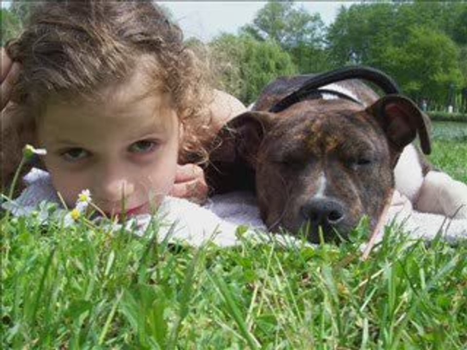 Collectif ctre catégorisation