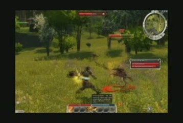 #6(2) Amatest - Vidéo - Guild Wars