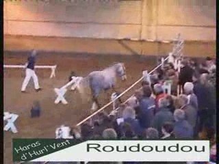 Roudoudou