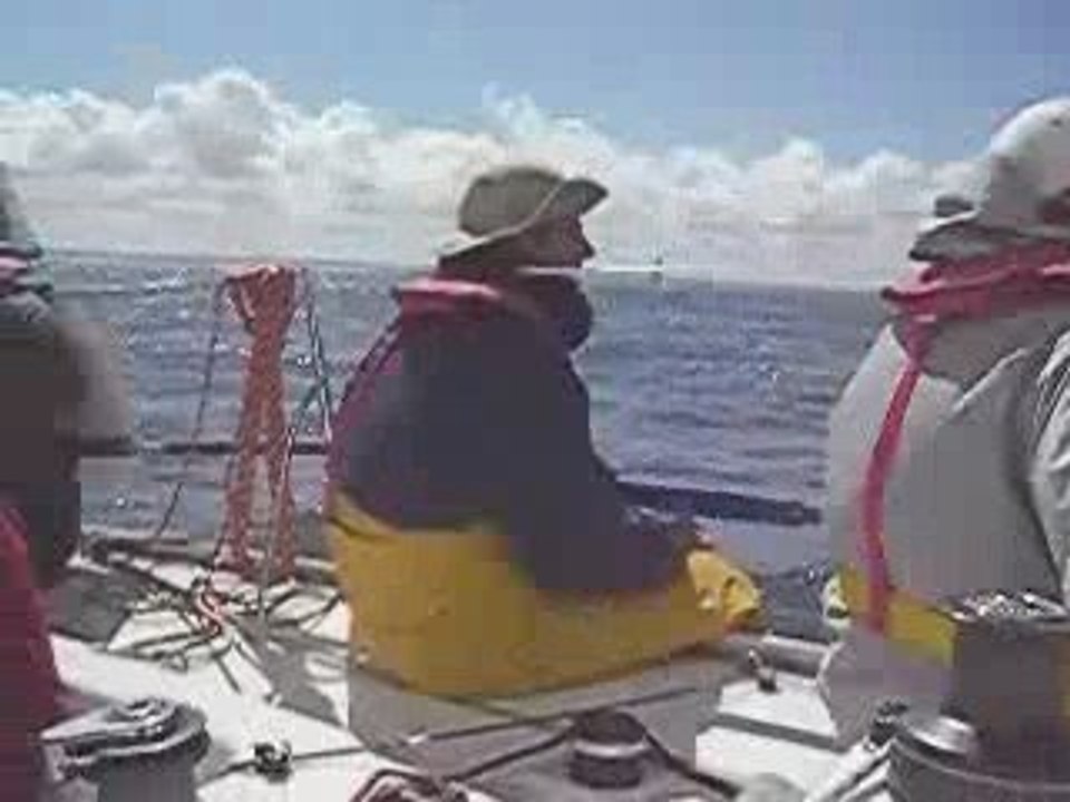 Tduf08 pres soleil petole